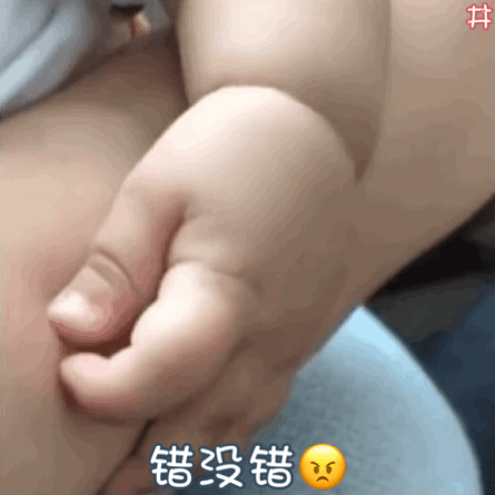 错没错（掐你肉肉）