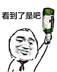 看到了是吧