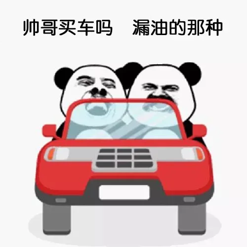 帅哥买车吗漏油的那种