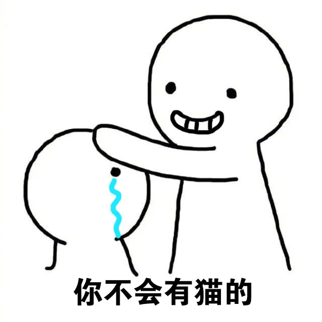 你不会有猫的