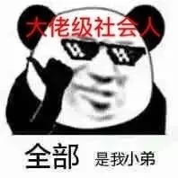 佬老级社全部是我小弟（佬老级社全部是我小弟）