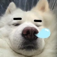 睡着了，打呼噜