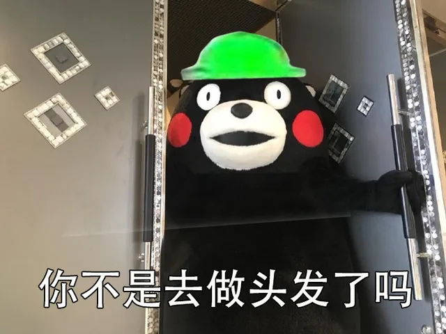 你不是去做头发了吗