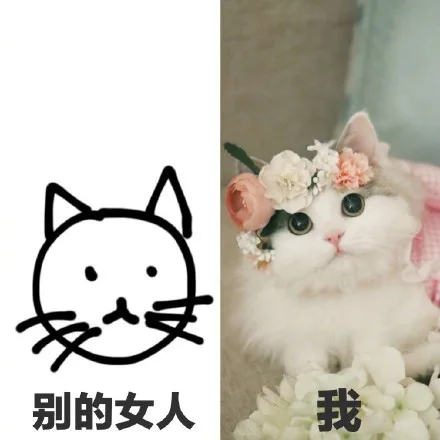 别的女人（粗糙），我（精致的女人）