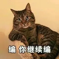 送你一波猫咪