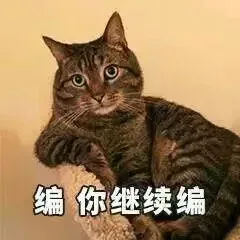 送你一波猫咪