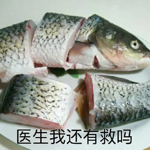 医生我还有救吗