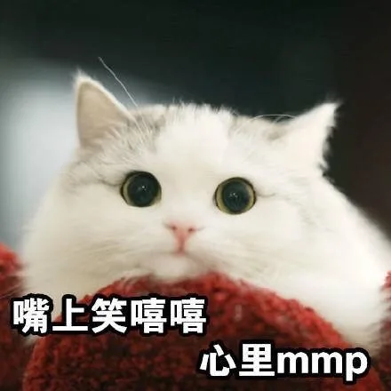 嘴上笑嘻嘻 心里 mmp