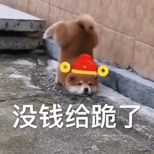 没钱给跪了