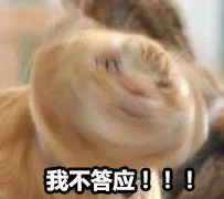 我不答应！！！（我不答应！！！）