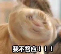 我不答应！！！