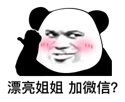 漂亮姐姐 加微信？（熊猫头表情包）（漂亮姐姐 加微信？（熊猫头表情包））