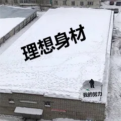 理想身材 VS 我的努力（理想身材 VS 我的努力）