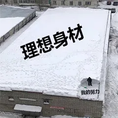 理想身材 VS 我的努力
