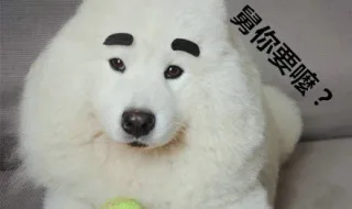 舅你要吗？