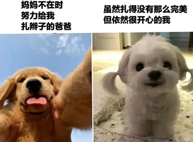 妈妈不在时虽然扎得没有那么完美努力给我但依然很开心的我扎辫子的爸爸（妈妈不在时虽然扎得没有那么完美努力给我但依然很开心的我扎辫子的爸爸）