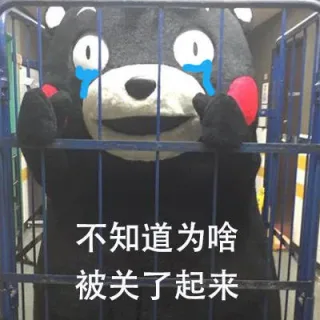不知道为啥被关了起来
