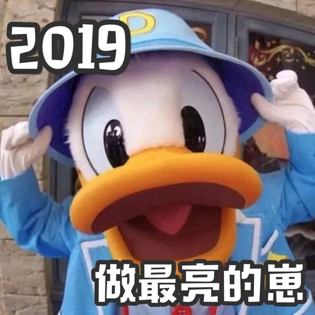 2019做最亮的崽