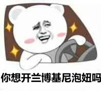 你想开兰博基尼泡妞号？（你想开兰博基尼泡妞号？）