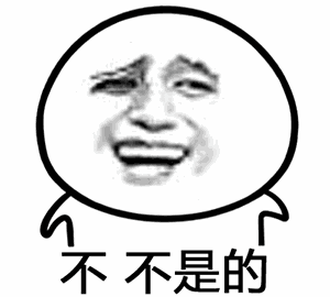 不不是的（不不是的）
