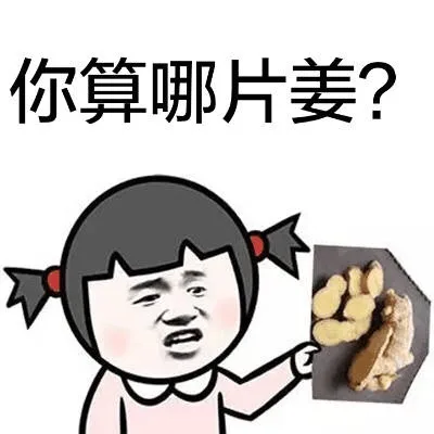 你算哪片姜？（你算哪片姜？）