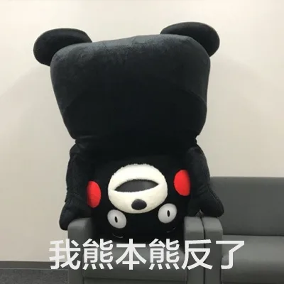 我熊本熊反了（我熊本熊反了）