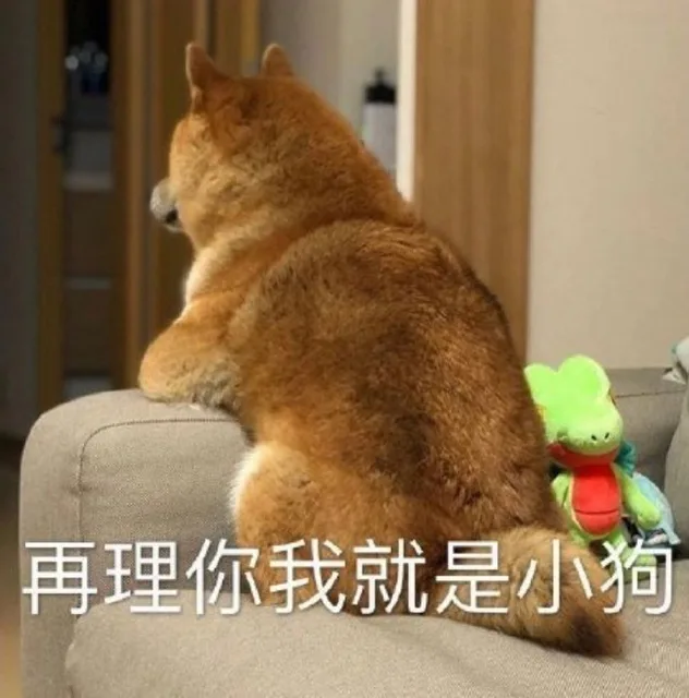 再理你我就是小狗（再理你我就是小狗）