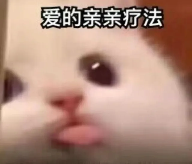 爱的亲亲疗法（爱的亲亲疗法）