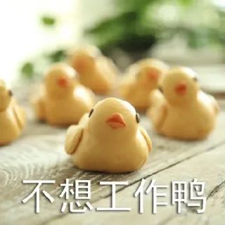 一弹鸭鸭表情包哦_鸭表情包