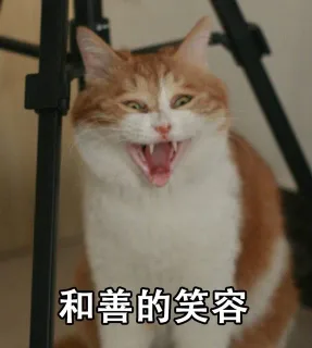 和善的笑容