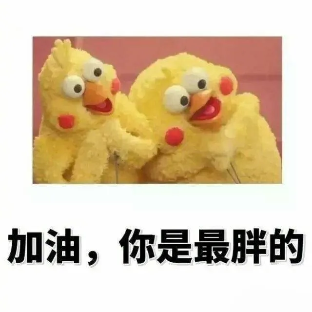 加油，你是最胖的（加油，你是最胖的）