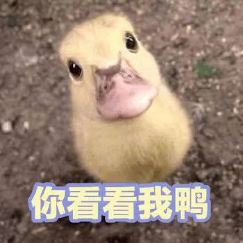 你看看我鸭（你看看我鸭）