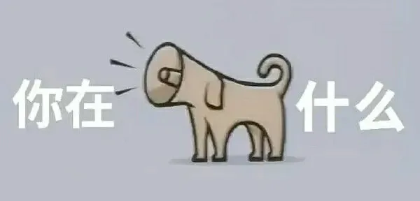 你在狗叫什么（你在狗叫什么）