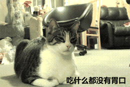 吃什么都没有胃口