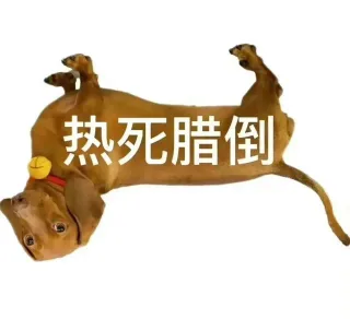 天气热高温