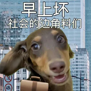 早上坏社会的边角料们49（早上坏社会的边角料们49）