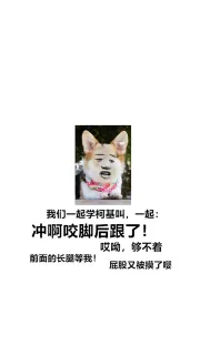 我们一起学柯基叫,一起:冲啊咬脚后跟了!哎呦,够不着前面的长腿等我!屁股又被摸了嘤