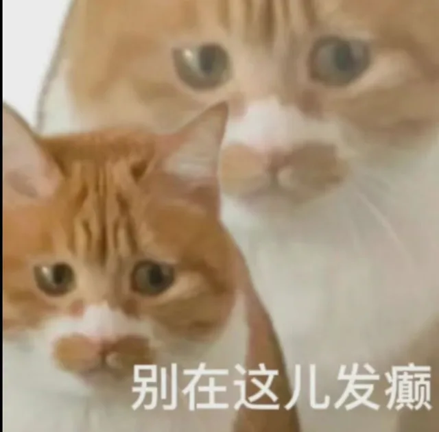 别在这儿发癫（别在这儿发癫）