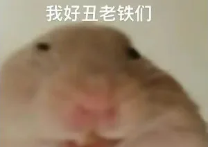 我好丑老铁们（我好丑老铁们）