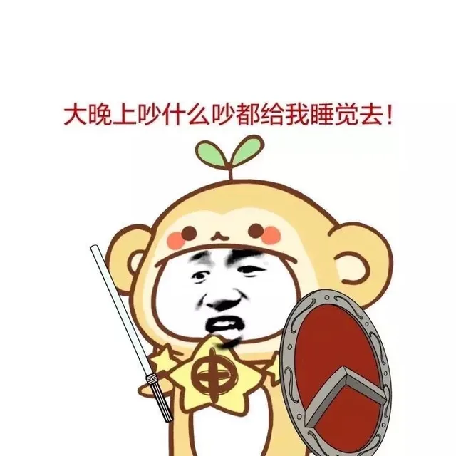 大晚上吵什么吵都给我睡觉去！（大晚上吵什么吵都给我睡觉去！）