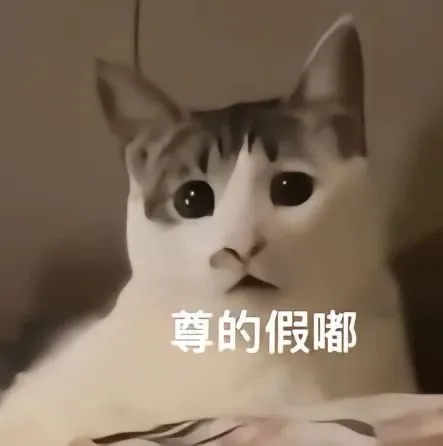 尊的假嘟（尊的假嘟）