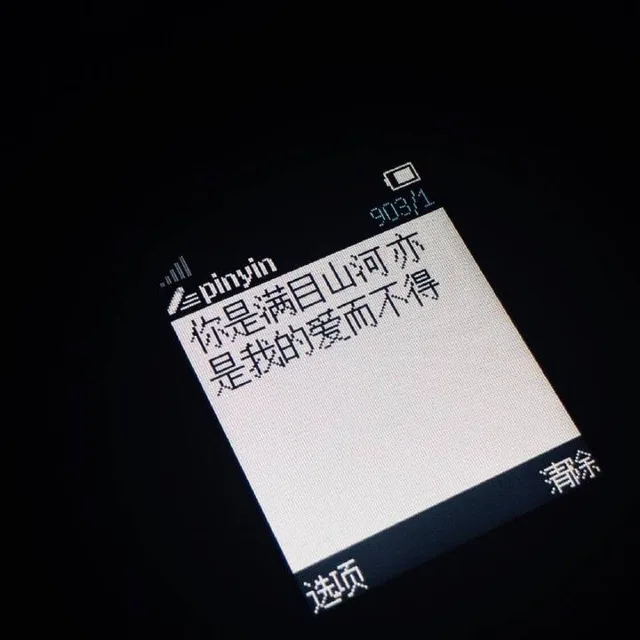 你是满目山河，亦是我的爱而不得（你是满目山河，亦是我的爱而不得）