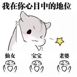小仓鼠带你喊口号！_小仓鼠_喊口号_群聊表情包