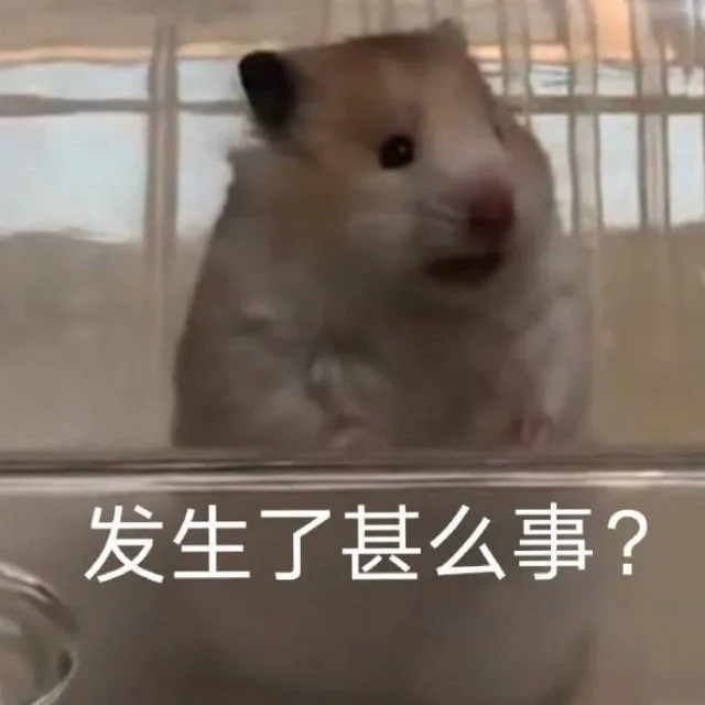发生了甚么事？（发生了甚么事？）