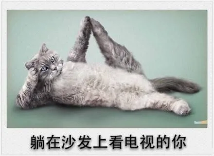 春节期间的你，简直太形象了