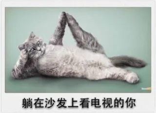 春节期间的你，简直太形象了