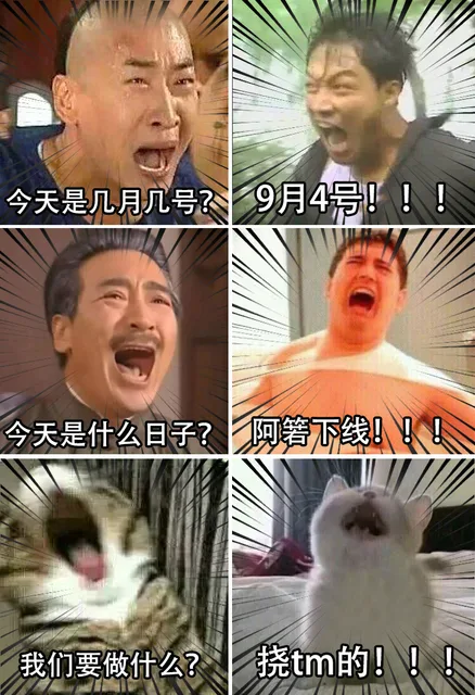 庆祝今晚阿箬领盒饭下线_如懿传_阿箬_影视表情