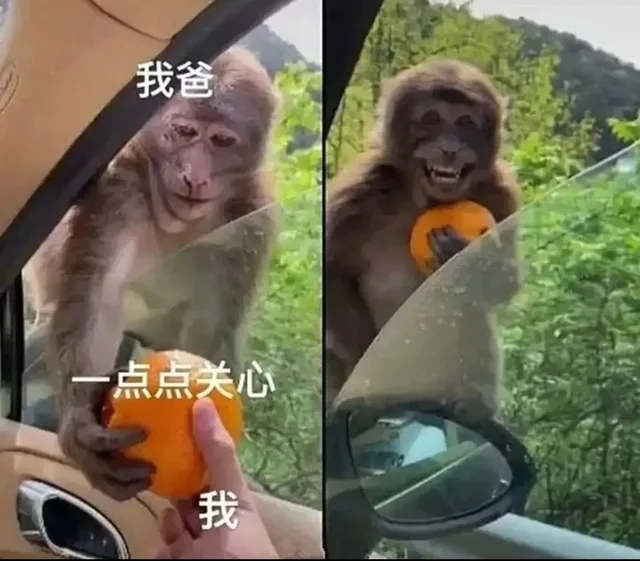我爸一点点关心我（我爸一点点关心我）