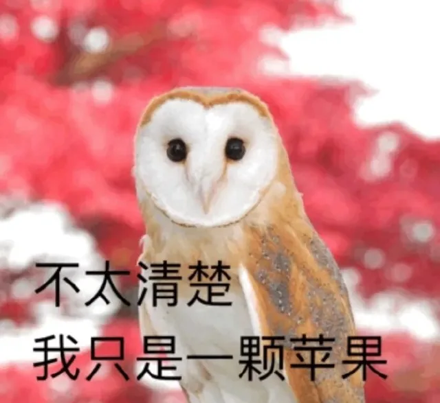 不太清楚我只是一颗苹果（不太清楚我只是一颗苹果）