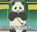 怎么还不更新照片